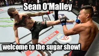 Sean O'Malley - Welcome to the sugar show!