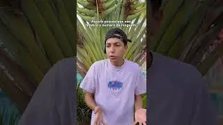 A PESSOA QUE NÃO LEMBRA O NÚMERO DE NINGUÉM