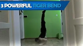 Powerful Tiger Bend