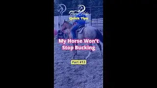 Help! My Horse Won't Stop Bucking! Part 13 | The Horse Guru - Michael Gascon