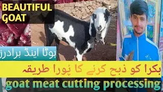 very beautiful goat full Meat cutting skill |  Bakra Ka gost Karna Ka full trika | so amazing goat