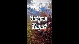 Доброе утро! Валерий Семин. Счастье 