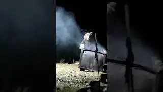 Медведь