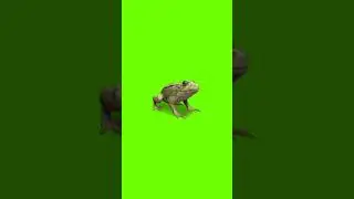 3D Green screen effect video# Black screen effect Video # kinemaster effect video#Shorts