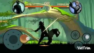 Сабираем деньги в Shadow fignt 2