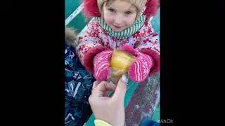 "Цветные льдинки"