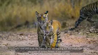 Planning your tiger photography in India
