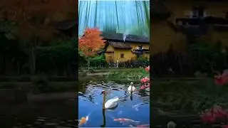 Natureza, Lugar de Paz e Tranquilidade.