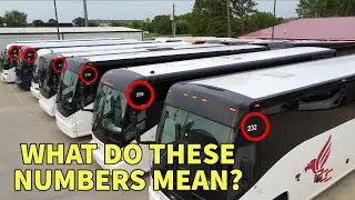 WHY DO BUSES HAVE THESE NUMBERS?