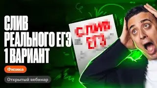 1 вариант слива ЕГЭ  по физике 2024 | Саня Эбонит