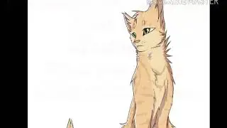 Как хорошо ты знаешь КВ?