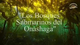 Los Bosques Submarinos del Onashaga