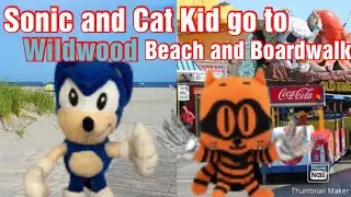 Sonic the Hedgehog and Friends Plush Adventures:Sonic and Cat Kid go to Wildwood Beach and Boardwalk