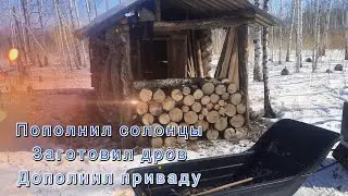 Пополнил солонцы, заготовил дров, дополнил приваду