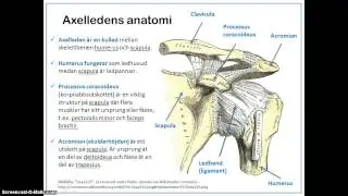 Kroppens leder