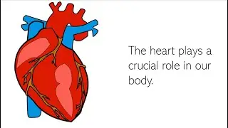 The Heart
