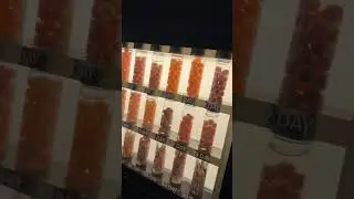 Всё для людей #shorts
