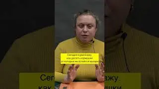 #shorts Мучная кормушка
