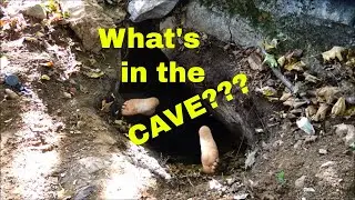 New Cave Exploration: Bizarre Edition