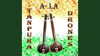 Tanpura in a (Bordone in LA)