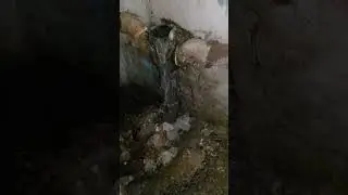 управляющей компании насрать! Самара Техническая 12