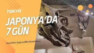 Japan Vlog JAPONYA'DA 7 GÜN | Tokyo | Ueno Parkı | Doğa ve Bilim Ulusal Müzesi