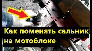 Как поменять сальники на мотоблоке Каскад, Луч