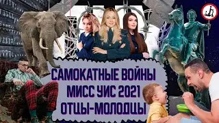 Самокатные войны / Побег слонов / Красота и наказание / Одноразовый стрит-арт / Шелтер | ПНХ №45
