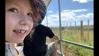 Visit to Kiwi Valley Farms