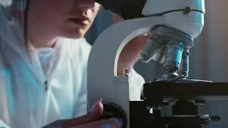 Person Looking Through the Microscope | Free 4K Stock Footage