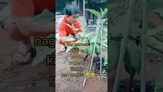 🌈MAY ULAM NA KAMI #shortvideo #taiwanofw