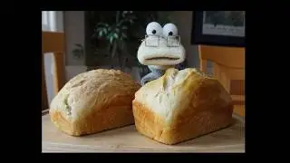 My First No-Knead Bread… for Kids of all Ages (super easy… no equipment… 4 ingredients)