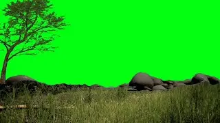 Nature video backgrounds green screen