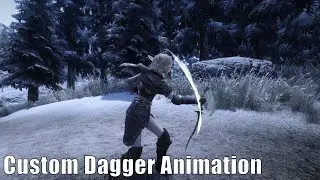 Skyrim Mods: Custom Dagger Animation