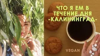 ЧТО Я ЕМ В ТЕЧЕНИЕ ДНЯ/ ВЕГАН на Балтийском море/ What i eat in a day (VEGAN)
