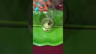 నెగటివ్ ఎనర్జీ తొలగిపోవాలంటే ఉప్పు, నిమ్మకాయచెక్కతో ఇలా చేస్తే చాలు | How To Remove Negative Energy