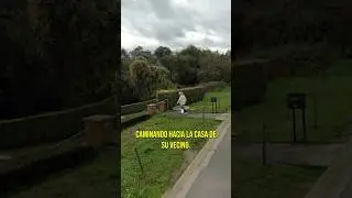 Resolvieron este MISTERIOSO CASO gracias a GOOGLE MAPS 