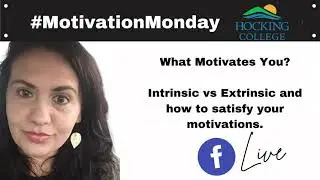 What Motivates You?  Intrinsic vs Extrinsic and How Data Can Help Both