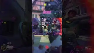 What a Nano Whole Hog