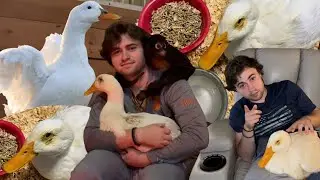 I Rescued a Duck That Needed My Help!