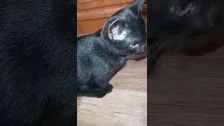 как её назвать🤔