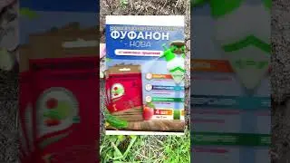 Осенняя закупка для огорода💐 #осень #грядки #огород #сад #вайлдберриз