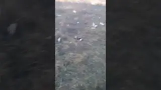 Заброшка часть 1#