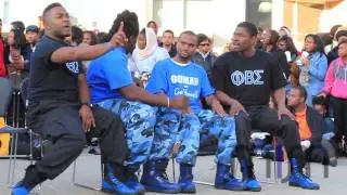 Homecoming 2012   Phi Beta Sigma