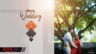 Basel Hindu Wedding Highlights Video | Anojan ❤ Suruthi | Jena Studio Basel
