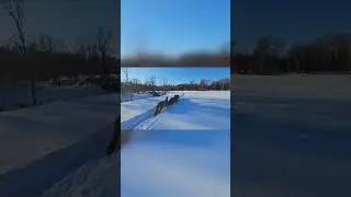 Спасаем лошадей из глубокого снега #shorts #жизньвдеревне #сельскаяжизнь
