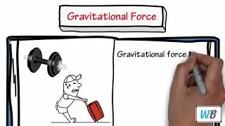 1.1 Class 11 What is Physics.mp4
