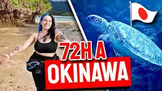 I LOST my SUITCASE in JAPAN but I SWIMMED with TURTLES! (it started badly...)