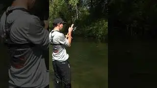 Using a Custom Buzzbait in Small Water!