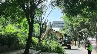 xuvol tree shear ,excavator attachment